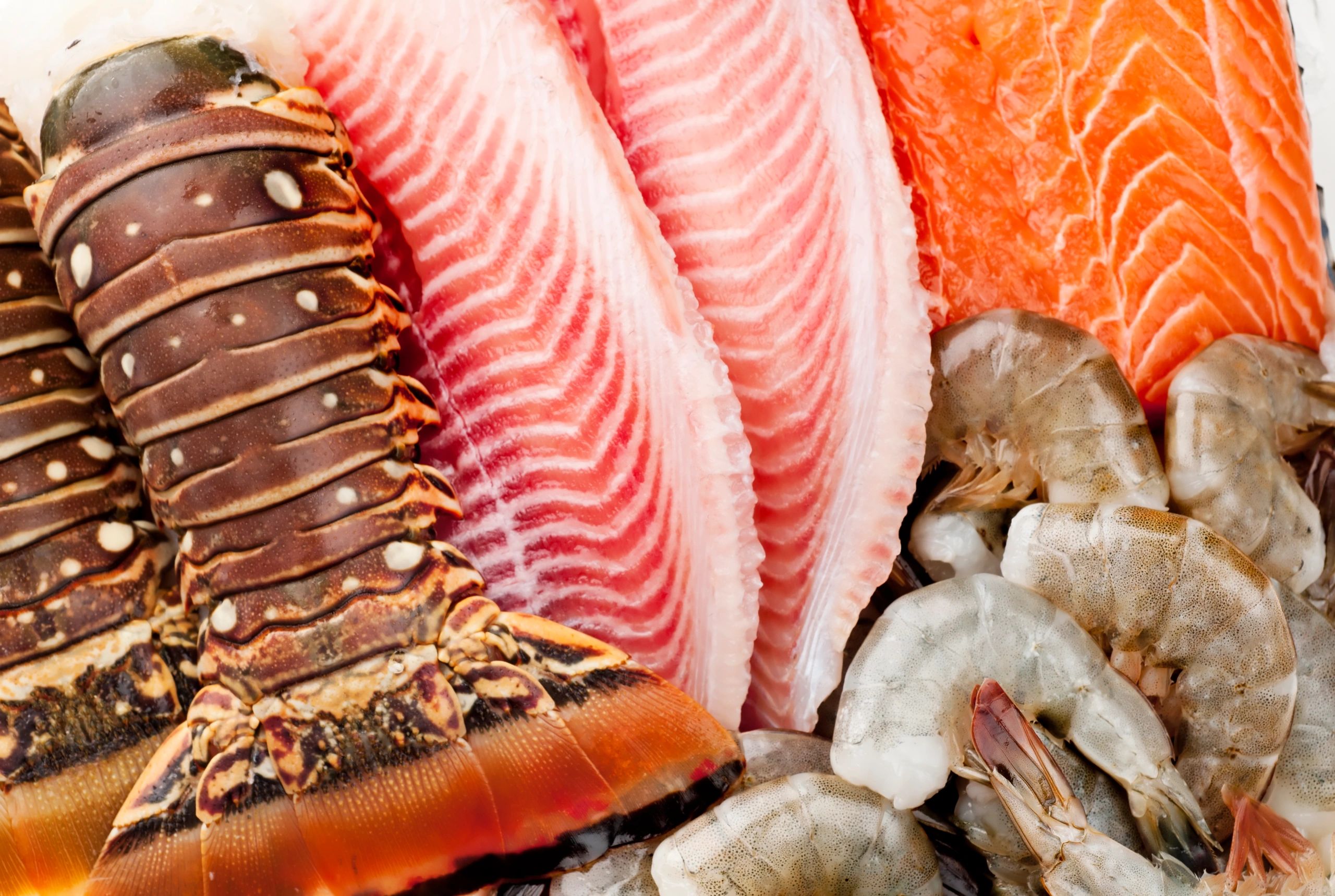 fresh seafood closeup