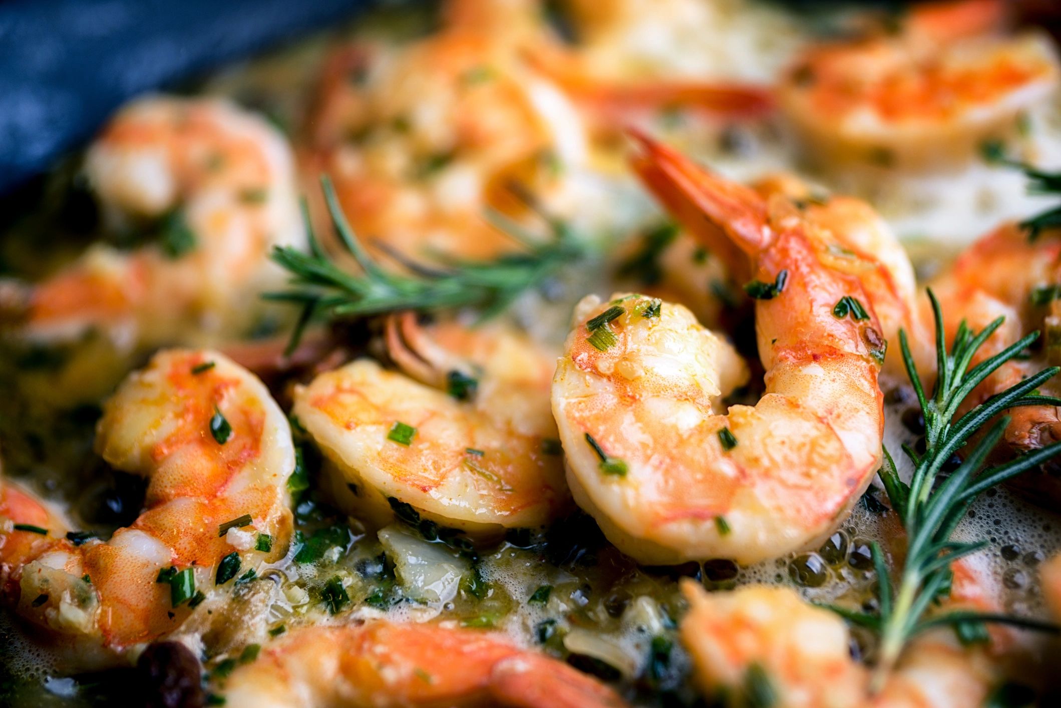 fresh seafood closeup